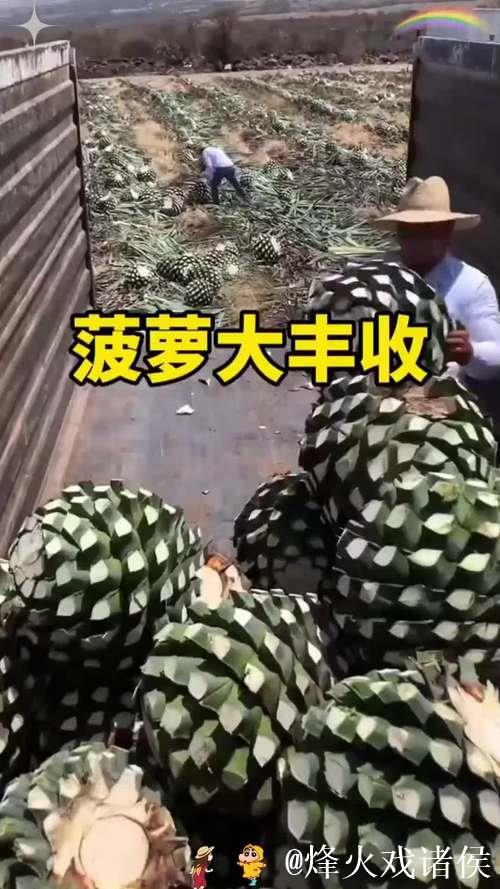 大菠萝福利视频