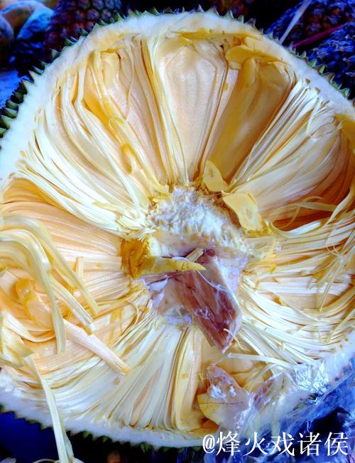 菠萝蜜午夜视频背后的奇幻世界揭秘 菠萝蜜午夜视频背后的奇幻世界揭秘