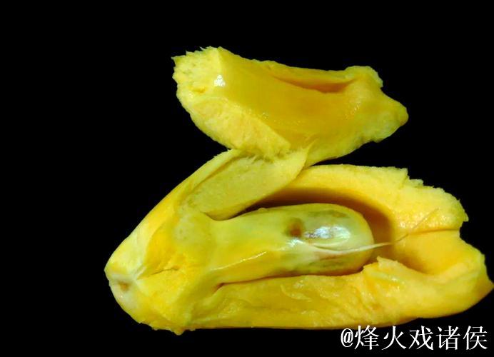 菠萝蜜午夜视频背后的奇幻世界揭秘 菠萝蜜午夜视频背后的奇幻世界揭秘