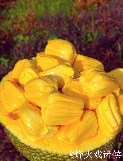 菠萝蜜午夜视频背后的奇幻世界揭秘 菠萝蜜午夜视频背后的奇幻世界揭秘